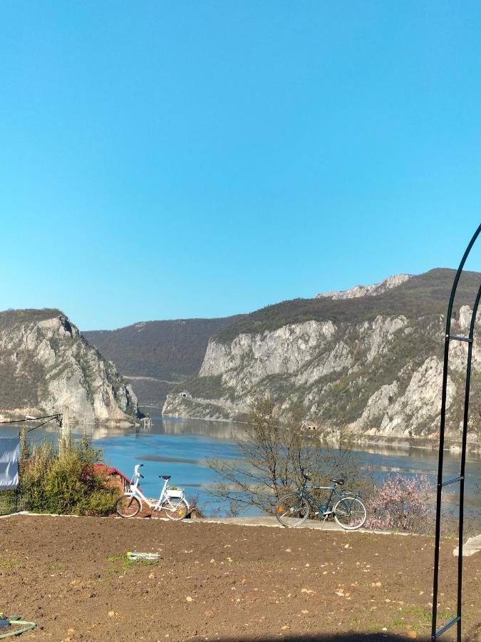 Casa De Vacanta Maga Dubova Exteriör bild
